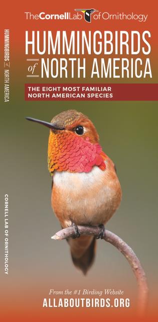 Hummingbirds of North America