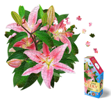 I Am Lily Puzzle 350pc