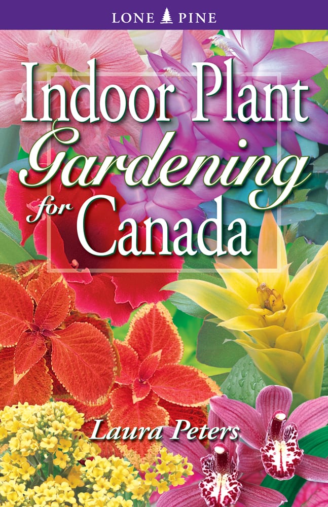 Indoor Plant Gardening for Canada