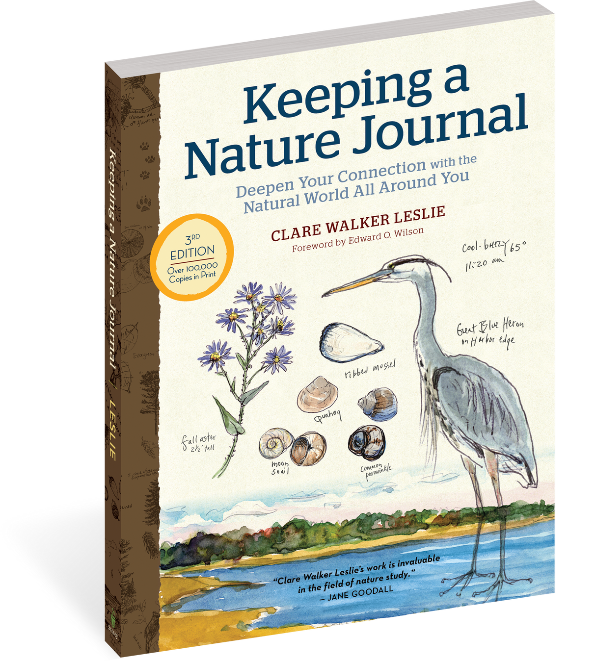 Keeping a Nature Journal, 3rd Edition