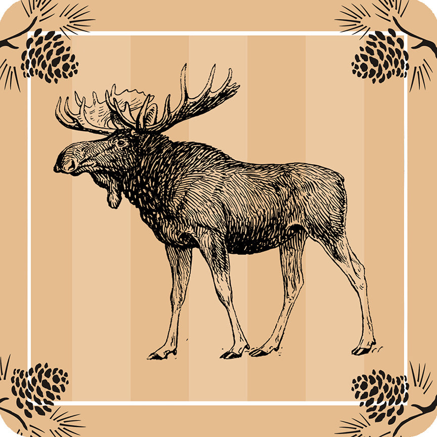 Moose Coasters 4pk