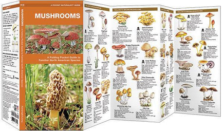 Mushrooms