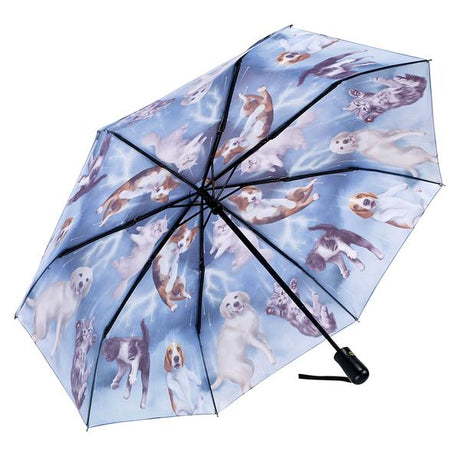 Cats & Dogs Folding Umbrella