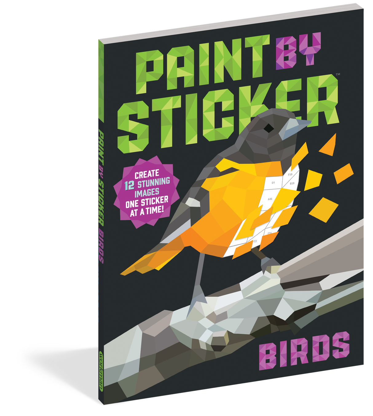 Paint by Sticker Birds Book