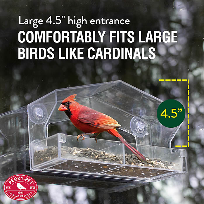 Perky-Pet Dual Seed Window Bird Feeder