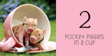 Pocket Piggies Numbers!