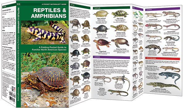 Reptiles and Amphibians