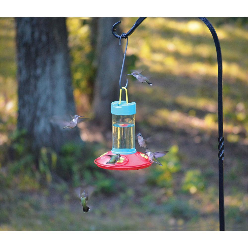 Dr. JB's Hummingbird Feeder, 16oz.