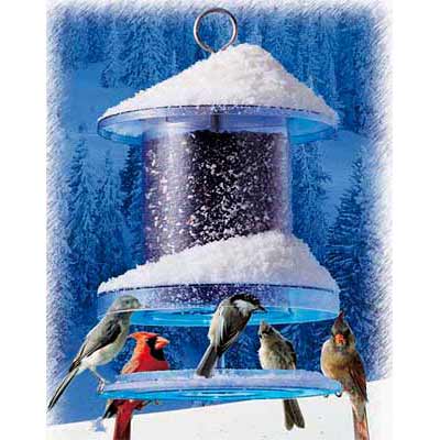 All-Weather Bird Feeder, 6-Quart, Clear