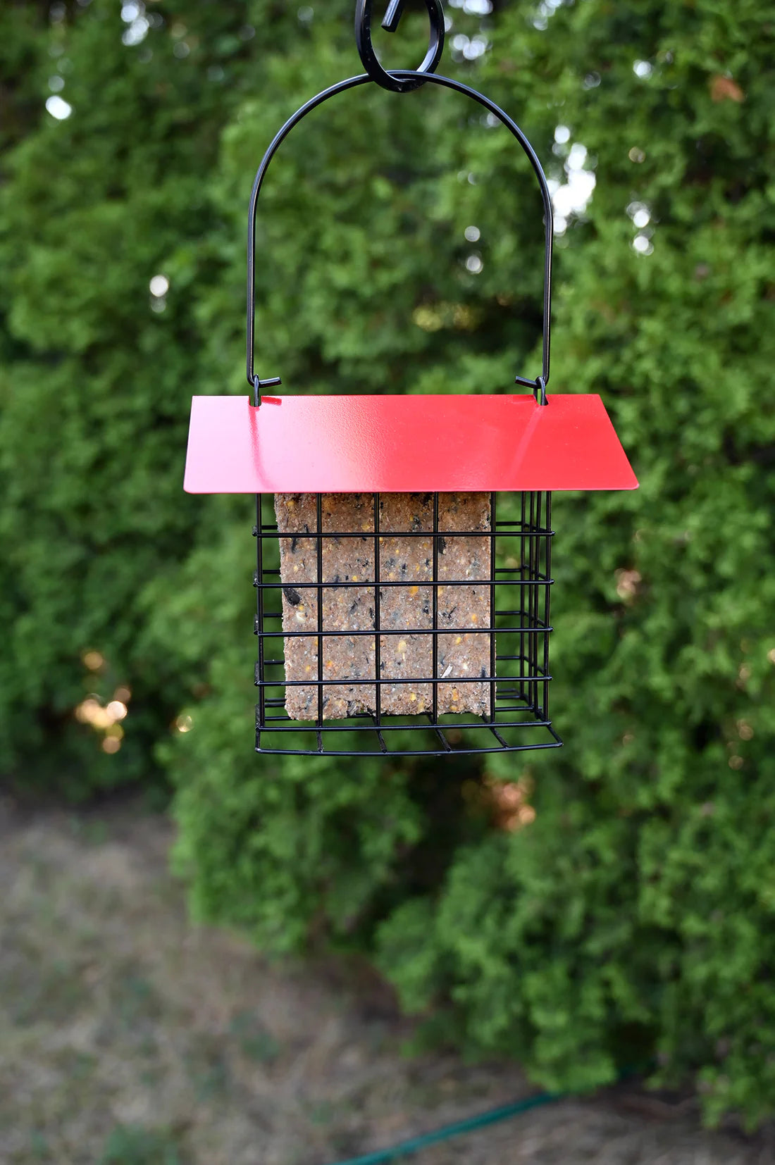 Sheltered Suet Cake Feeder, Red