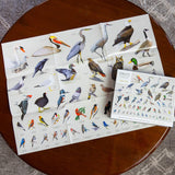 Sibley Backyard Birding 1000pc Puzzle