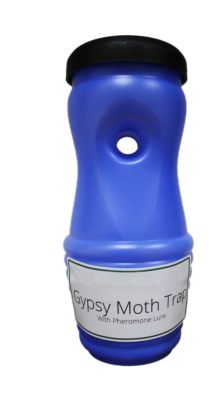 Spongy (Gypsy) Moth Trap, Reusable