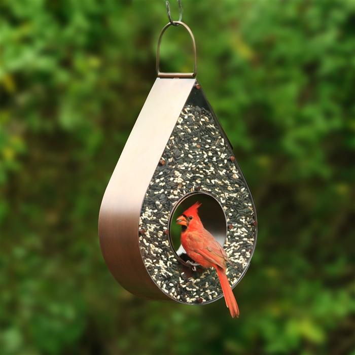 Teardrop Fly-Thru Bird Feeder