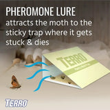 Terro Pantry Moth Trap