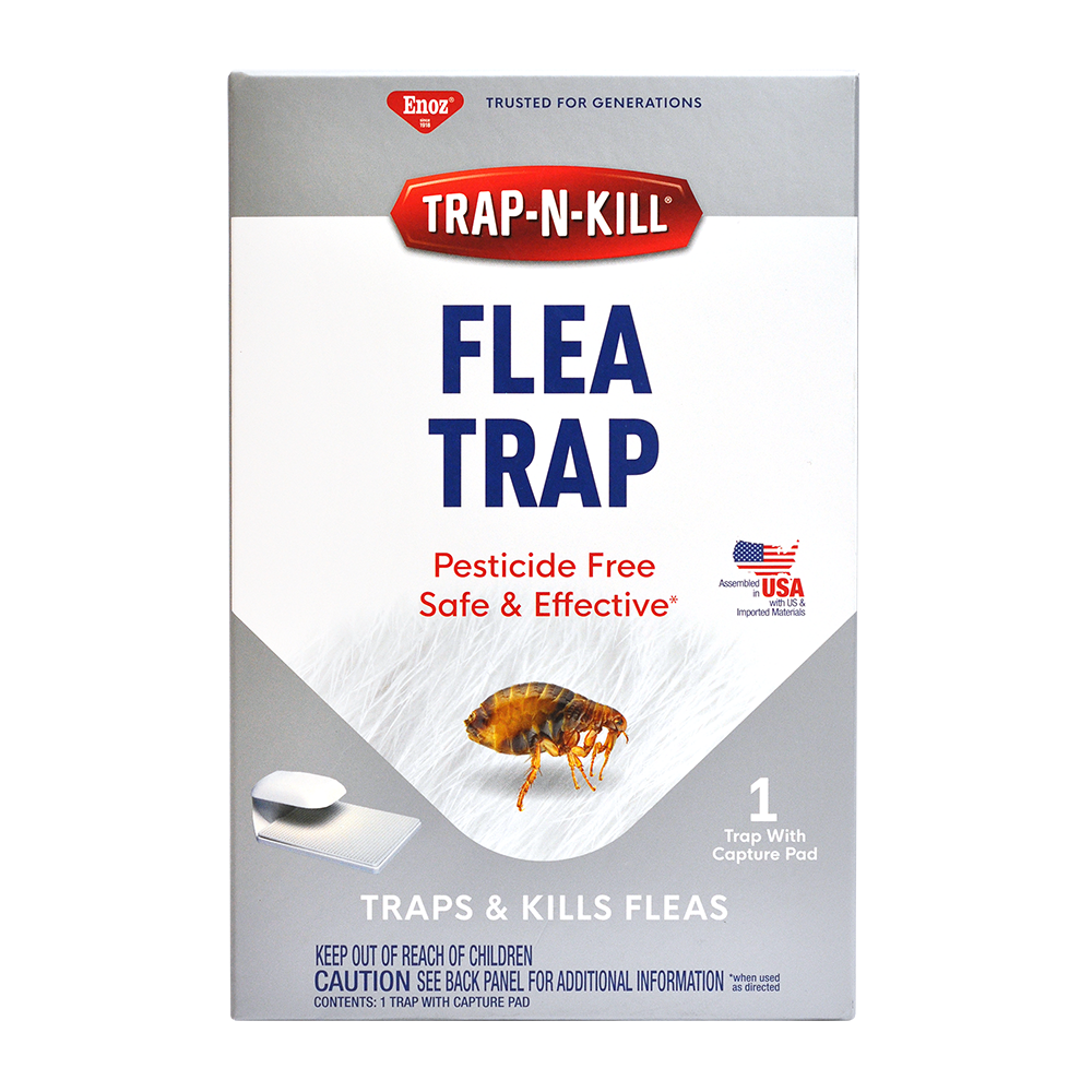 Trap N Kill Flea Trap