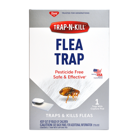 Trap N Kill Flea Trap