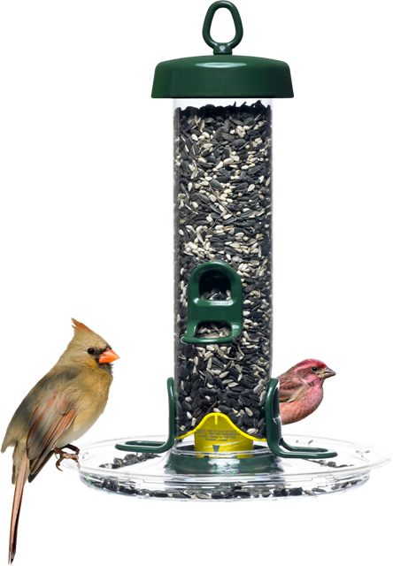 Tube Solution 150 Bird Feeder