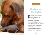 Unlikely Friendships for Kids, The Dog & The Piglet