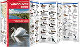 Vancouver Birds