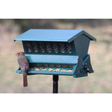 Absolute II Squirrel-Proof Bird Feeder