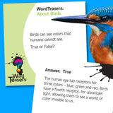 Word Teasers About Birds