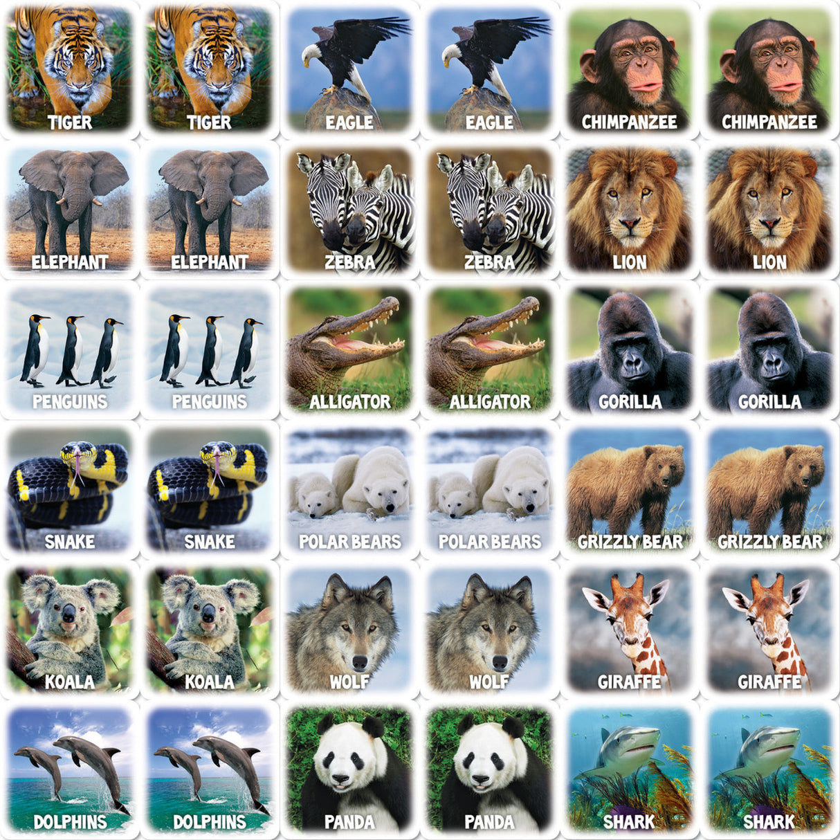 World of Animals Matching Game