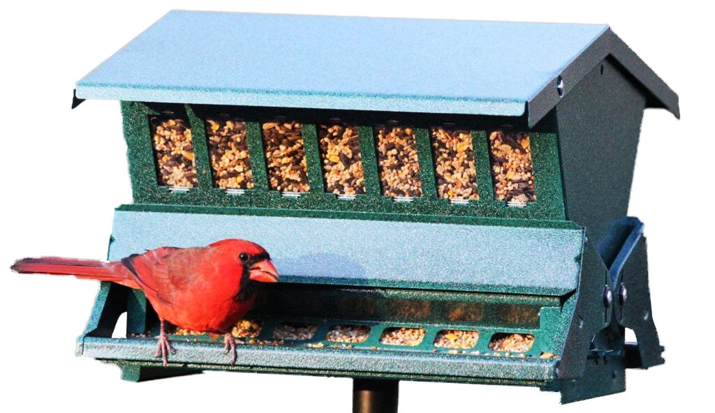 Absolute II Squirrel-Proof Bird Feeder