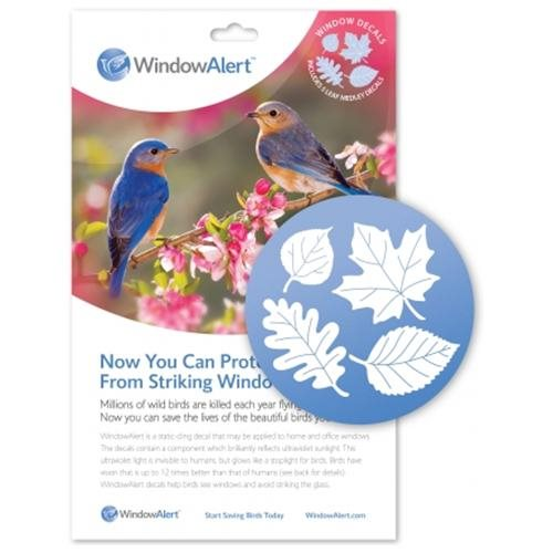 Make Window Decals to Help Migrating Birds, …
