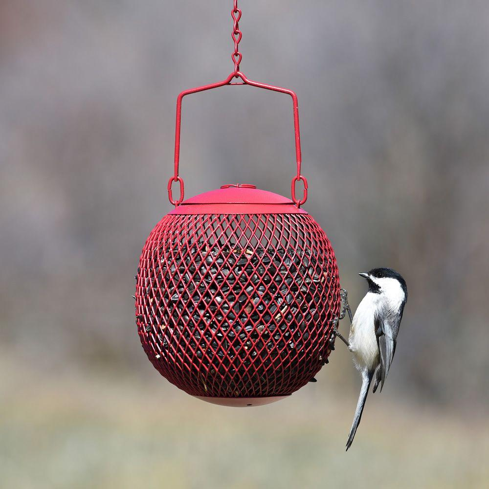 Red Seed Ball Wild Bird Feeder