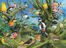 Garden Birds- 1000 Pcs