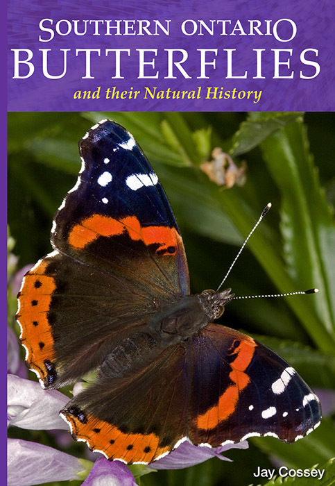 Southern Ontario Butterflies and their Natural History