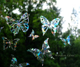 Butterflies Window Gems