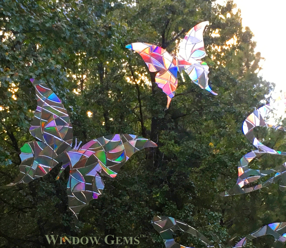 Butterflies Window Gems