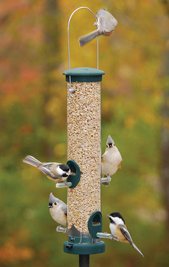 Quick-Clean Medium Seed Tube Feeder, Spruce Green