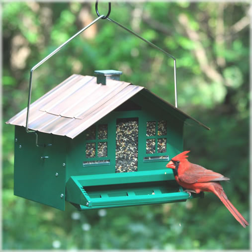 wild bird feeder - Achat en ligne