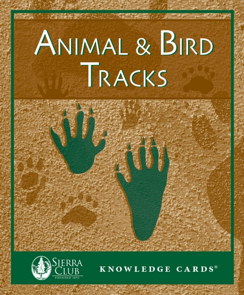 Animal & Bird Tracks Knowledge Cards