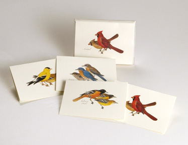 Peterson's Bird Assortment I Notecards