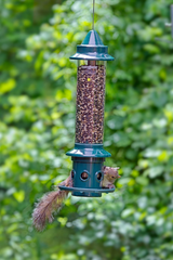 Brome Squirrel Buster Plus Bird Feeder