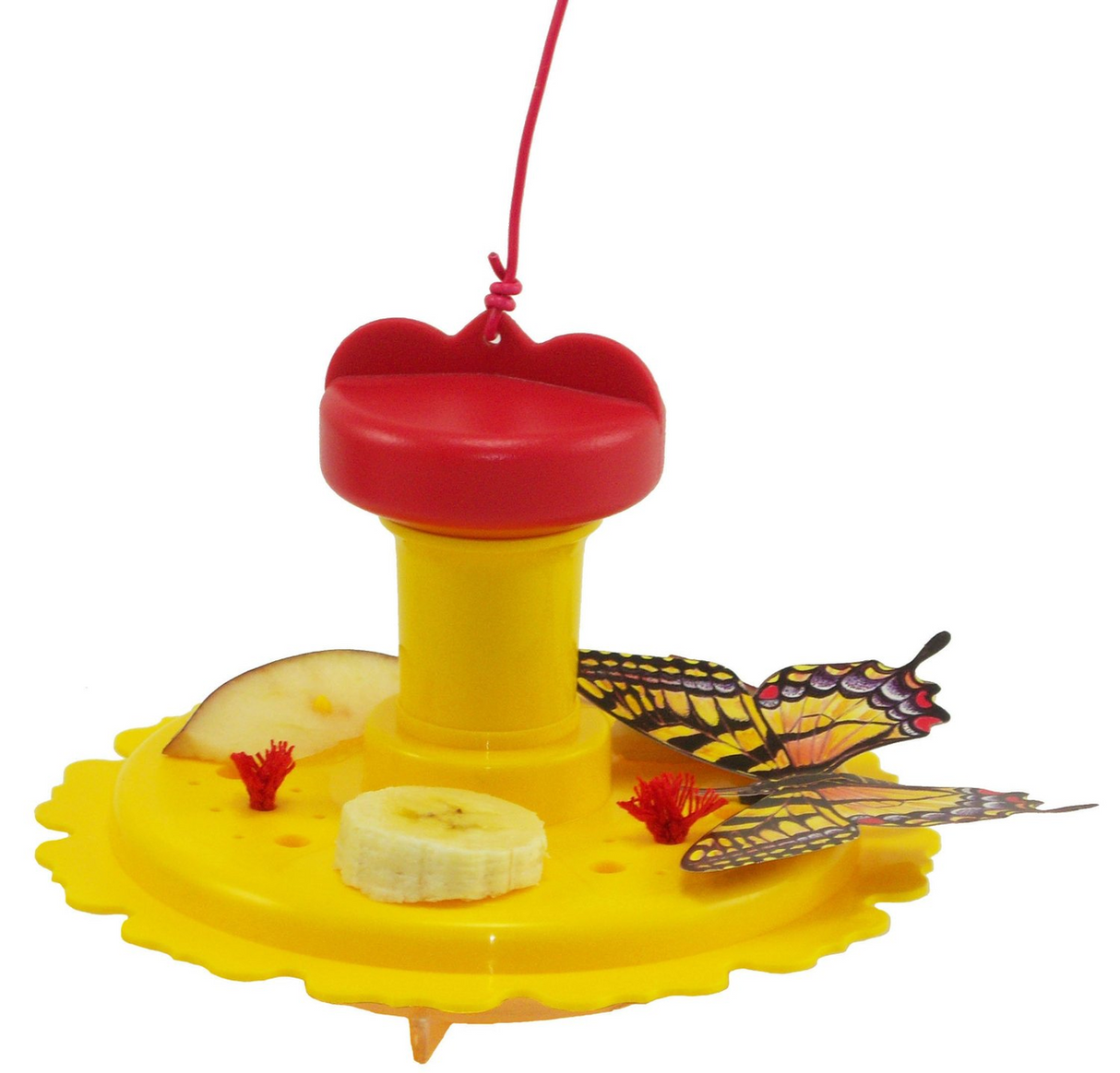 Songbird Essentials Butterfly Feeder