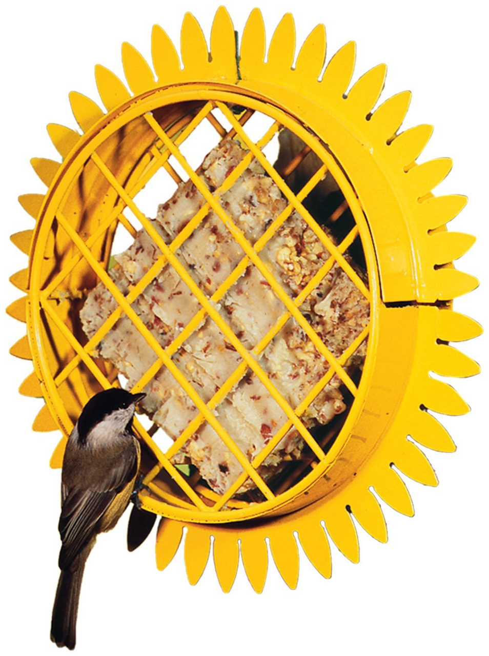 Sunflower Hanging Suet Feeder