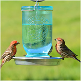 Mason Jar Waterer