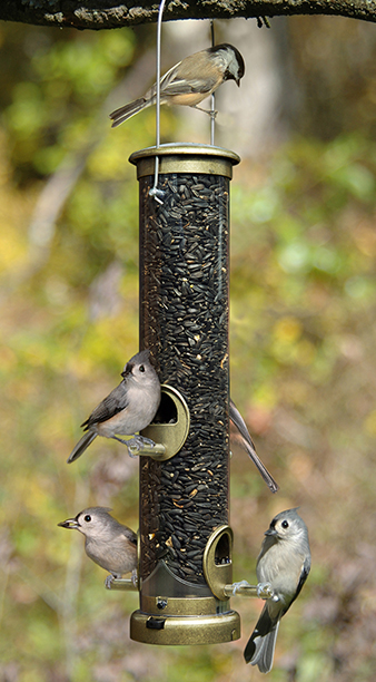 Quick-Clean Medium Seed Tube Feeder, Antique Brass