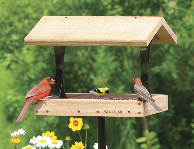 Cedar Fly-Thru Feeder (Pole Mount Not Included)