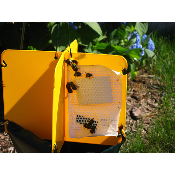 Safer's Japanese Beetle Trap