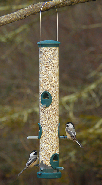 Quick-Clean Large Seed Tube Feeder, Spruce Green