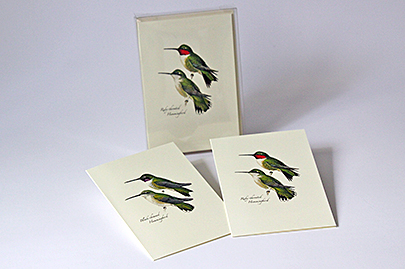 Peterson's Hummingbird Assortment Notecards