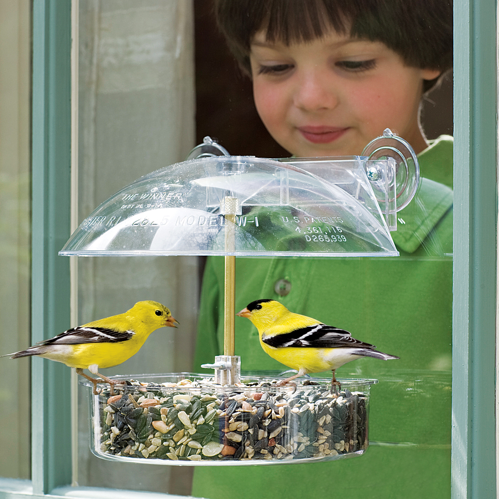 The Winner Multi-Purpose Window Feeder