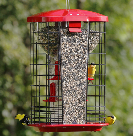 Stokes Jumbo Squirrel-Resistant Hopper Feeder