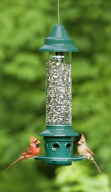 Brome Squirrel Buster Plus Bird Feeder